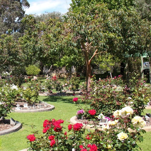 Memorial Rose Gardens